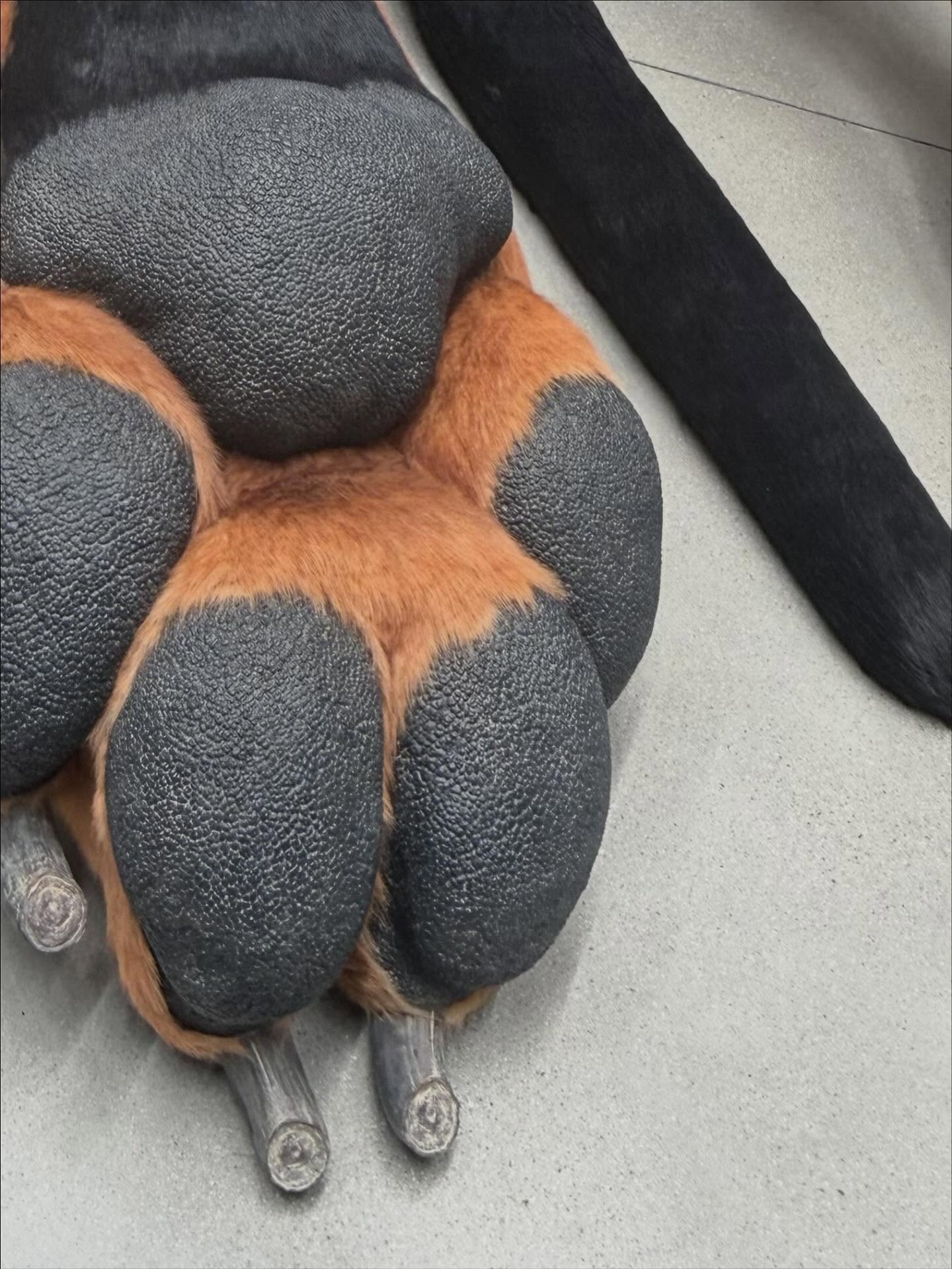 วิน - เมธวิน โอภาสเอี่ยมขจร