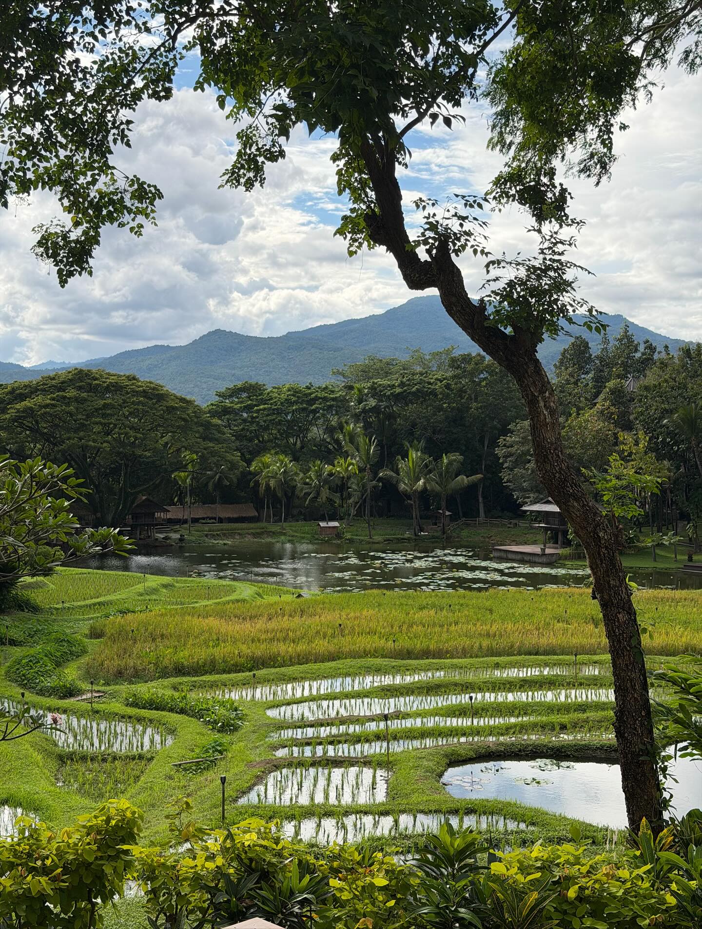 วิน - เมธวิน โอภาสเอี่ยมขจร