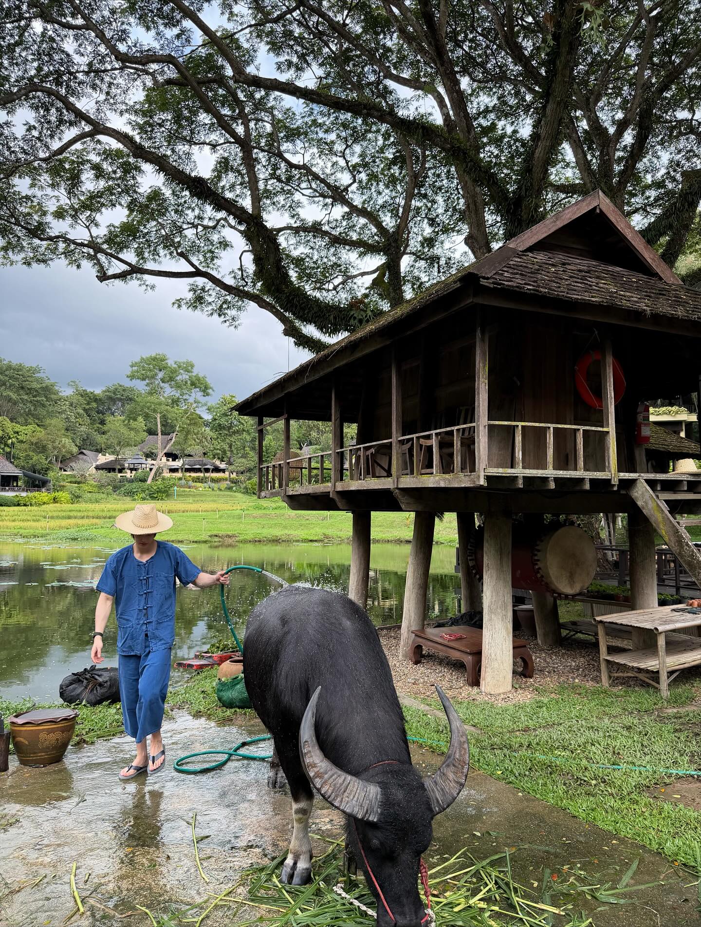 วิน - เมธวิน โอภาสเอี่ยมขจร