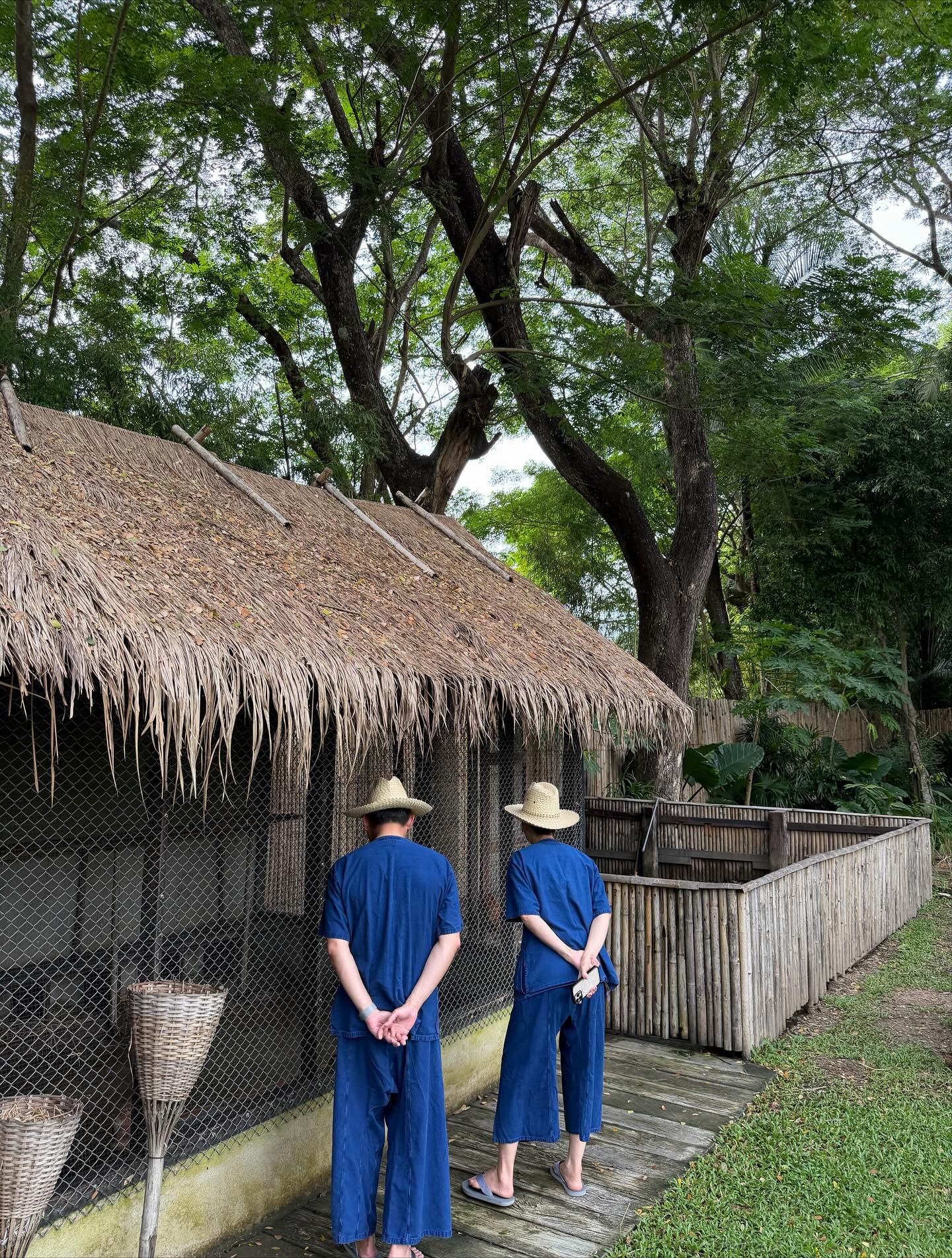 วิน - เมธวิน โอภาสเอี่ยมขจร