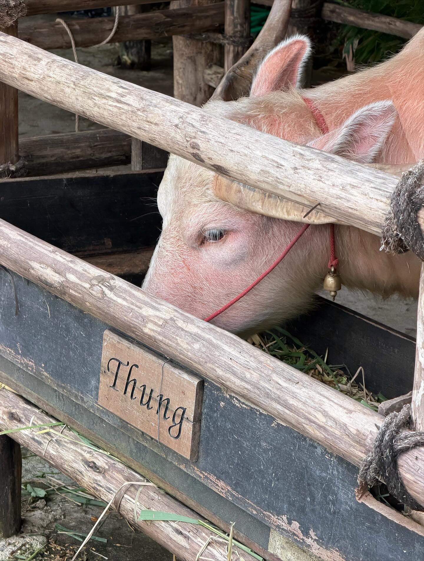 วิน - เมธวิน โอภาสเอี่ยมขจร