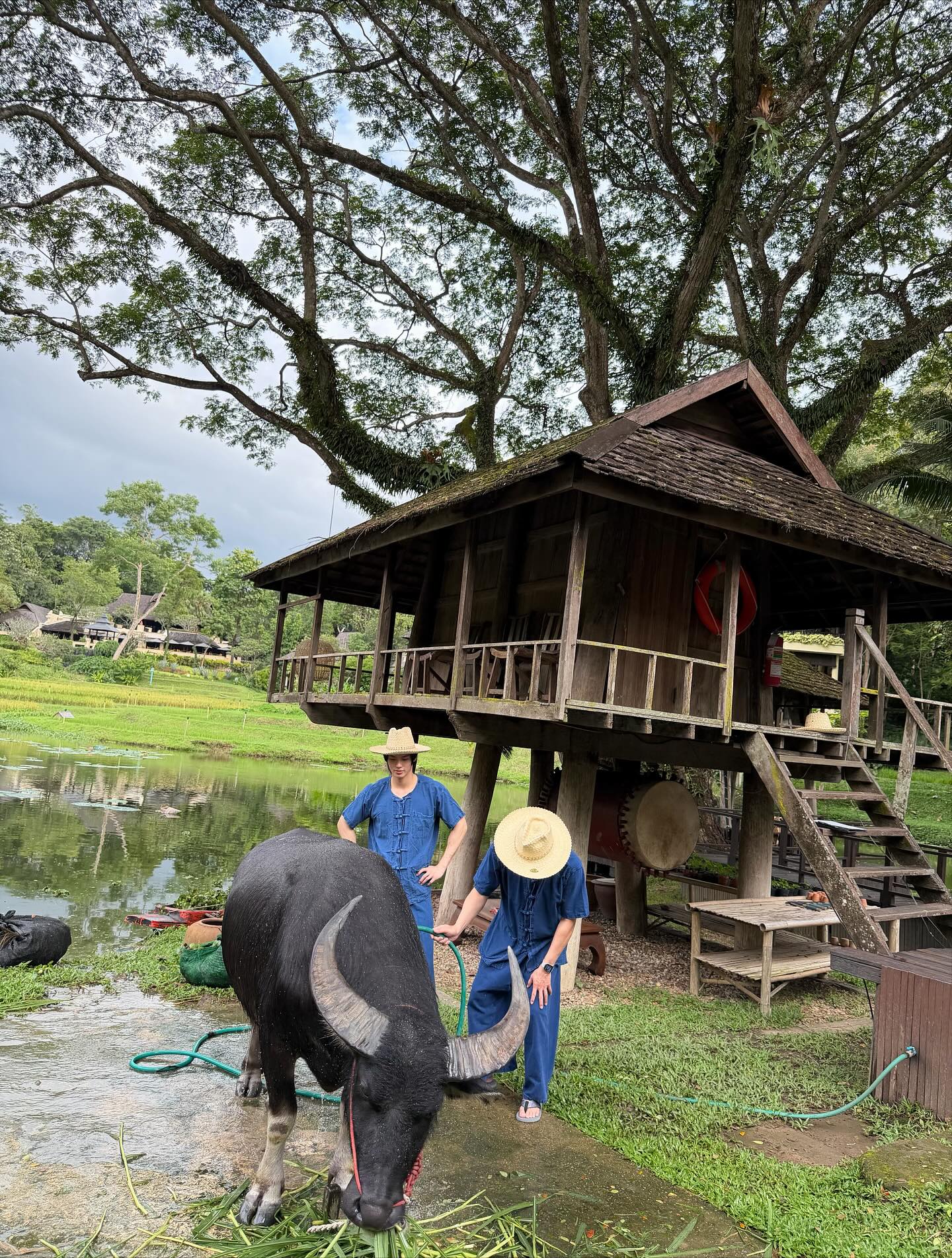 วิน - เมธวิน โอภาสเอี่ยมขจร