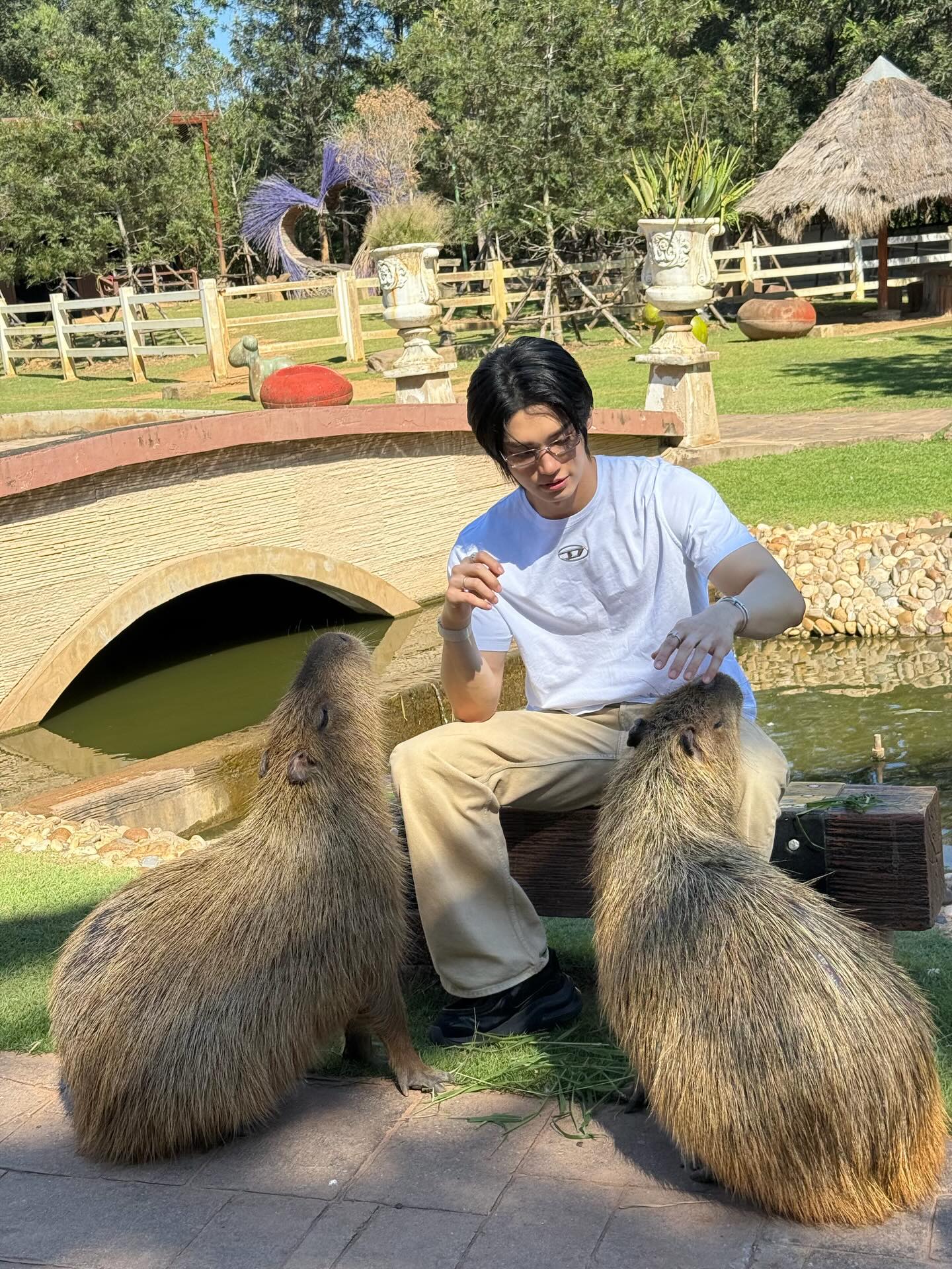 วิน - เมธวิน โอภาสเอี่ยมขจร