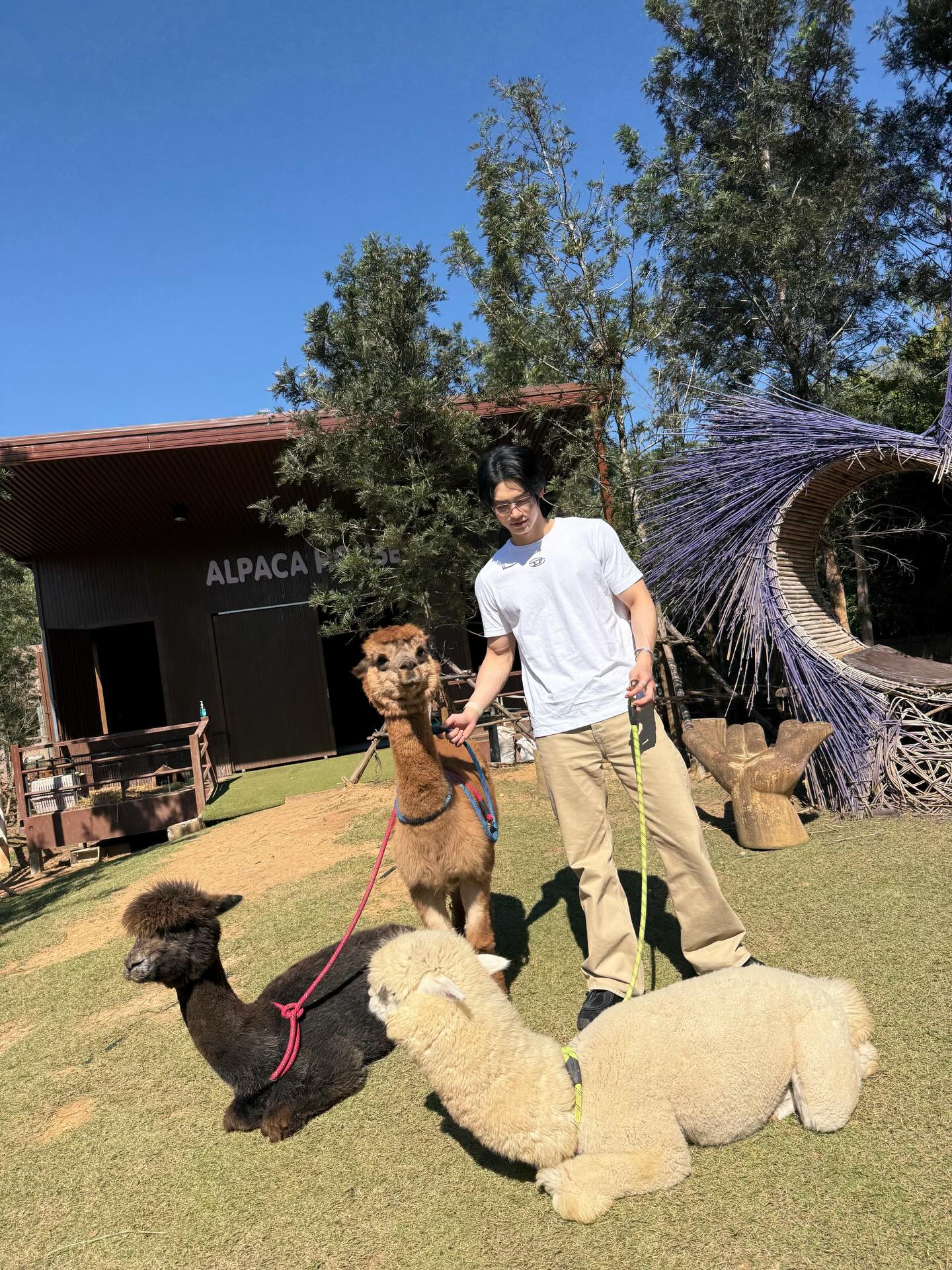 วิน - เมธวิน โอภาสเอี่ยมขจร