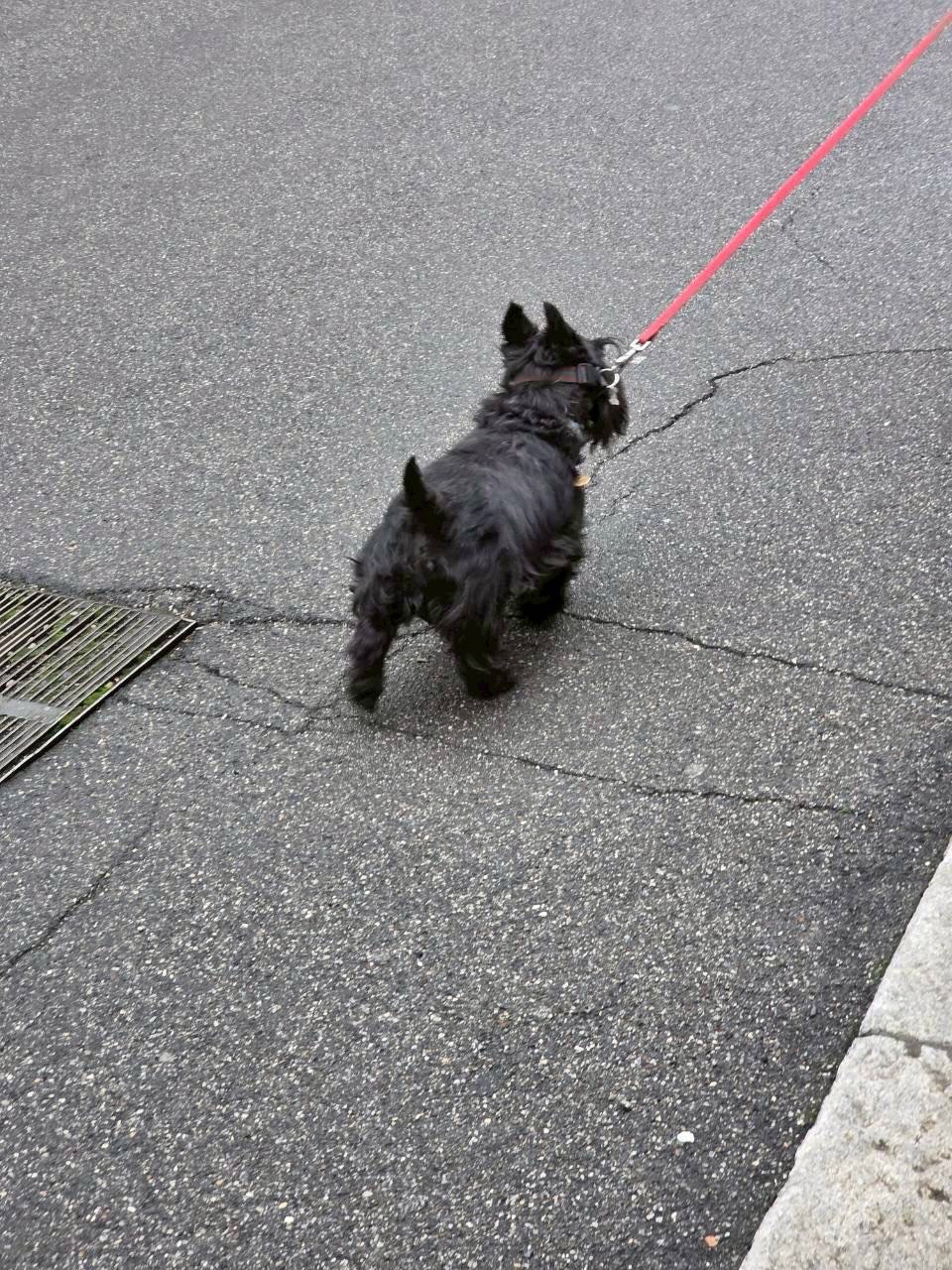 วิน - เมธวิน โอภาสเอี่ยมขจร