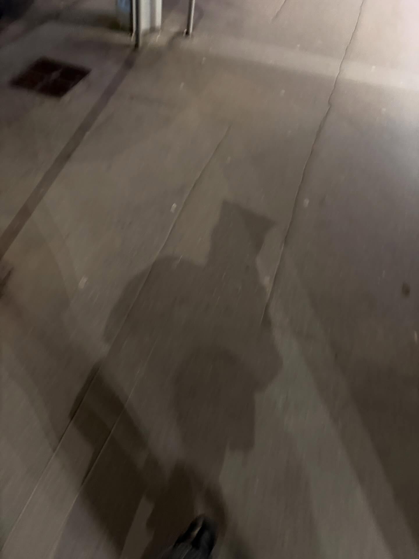 วิน - เมธวิน โอภาสเอี่ยมขจร