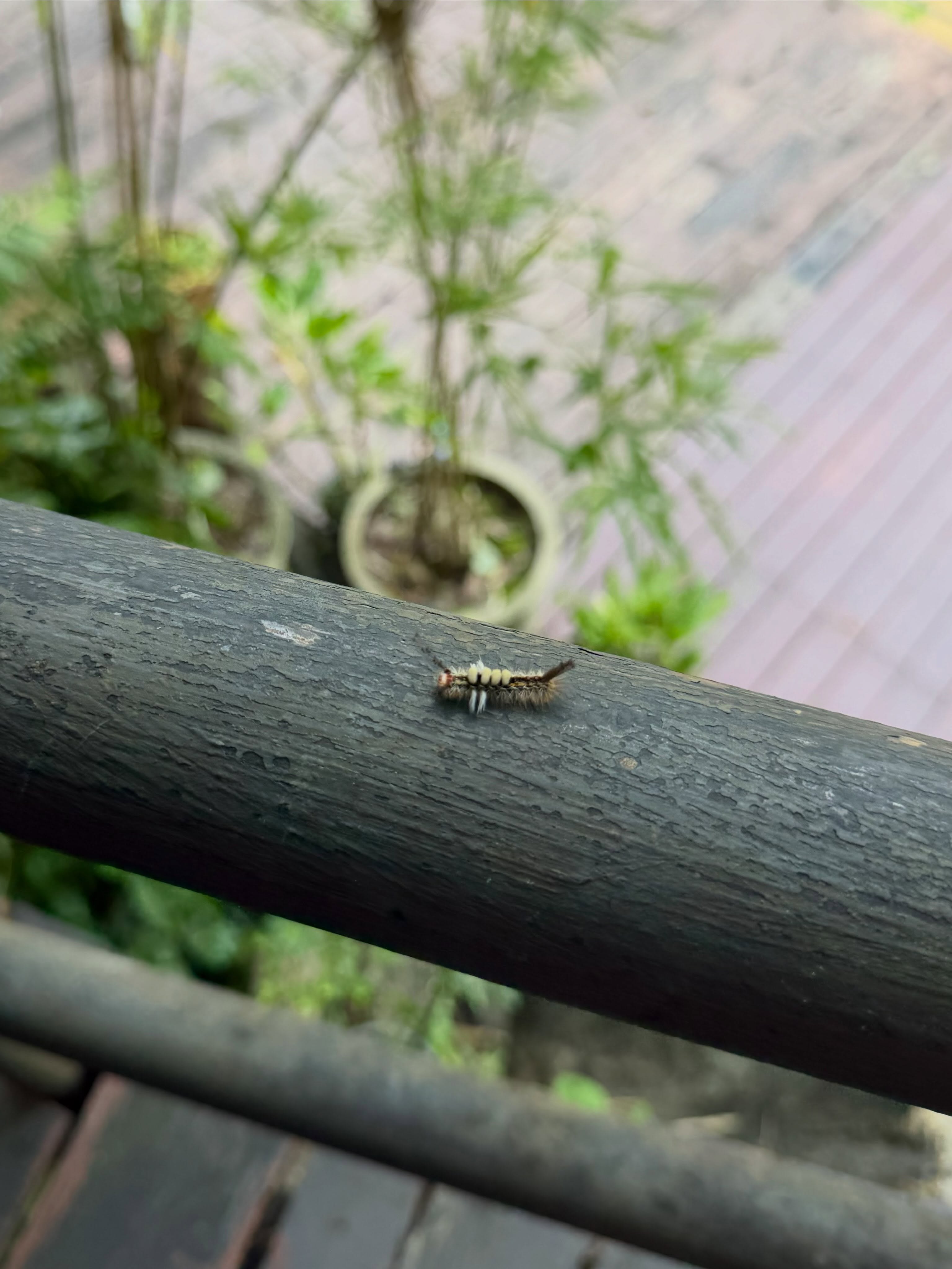 วิน - เมธวิน โอภาสเอี่ยมขจร