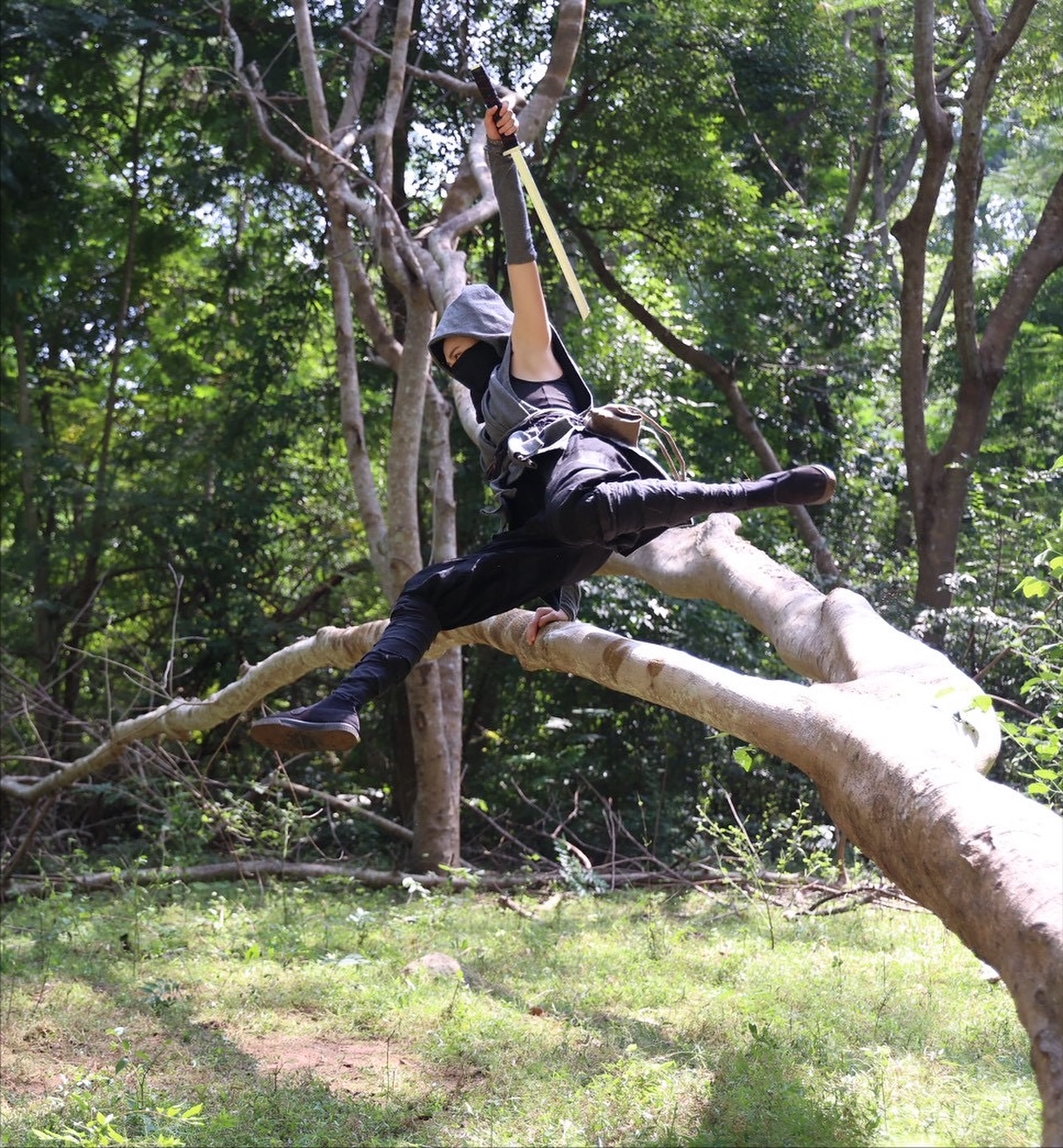 แพร์ - พิชชาภา พันธุมจินดา