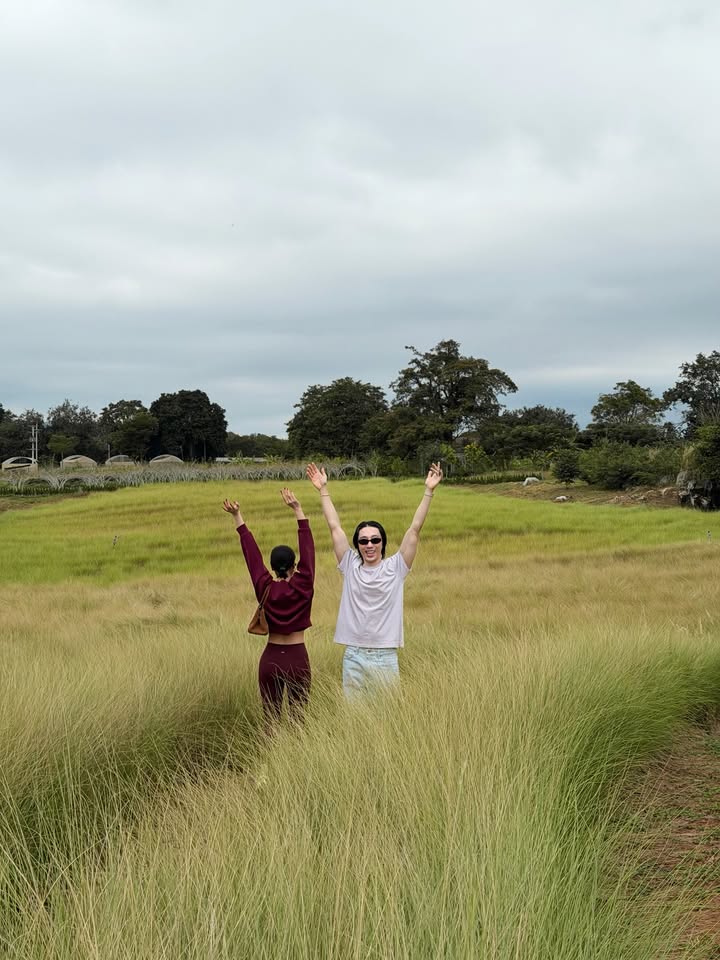 แพร์ - พิชชาภา พันธุมจินดา