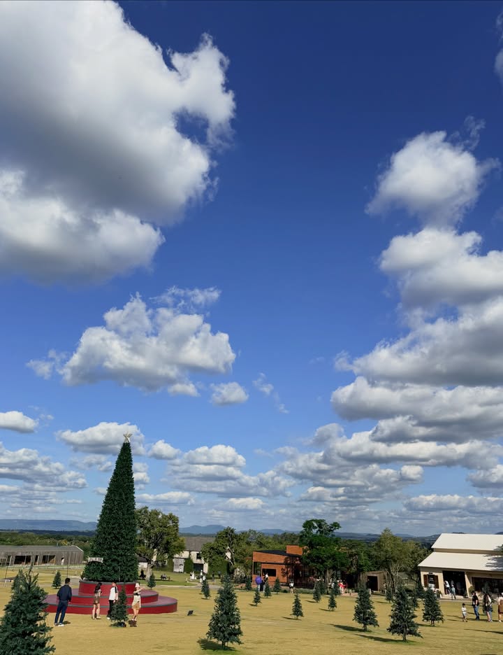 แพร์ - พิชชาภา พันธุมจินดา