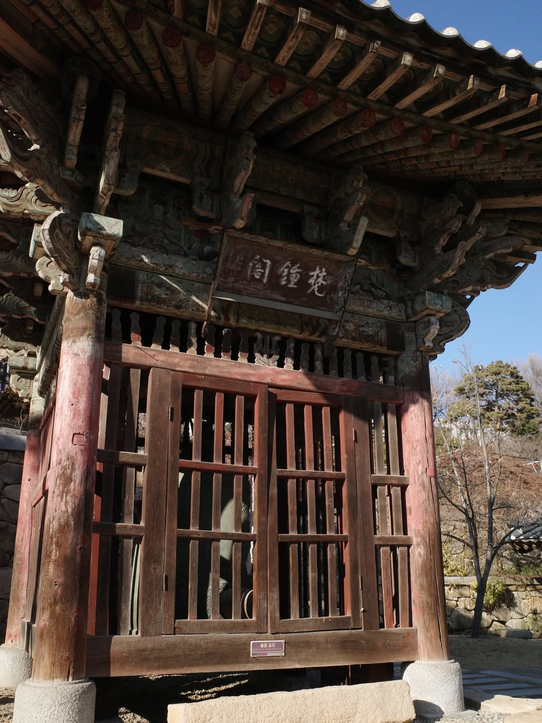 แพร์ - พิชชาภา พันธุมจินดา