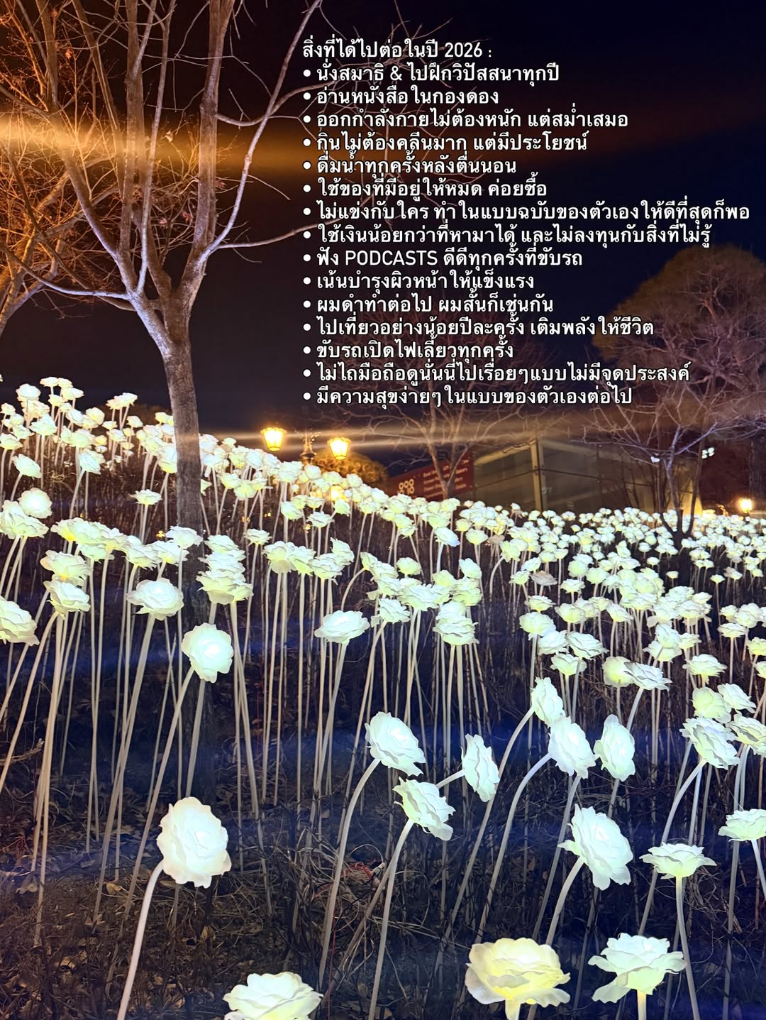 แพร์ - พิชชาภา พันธุมจินดา