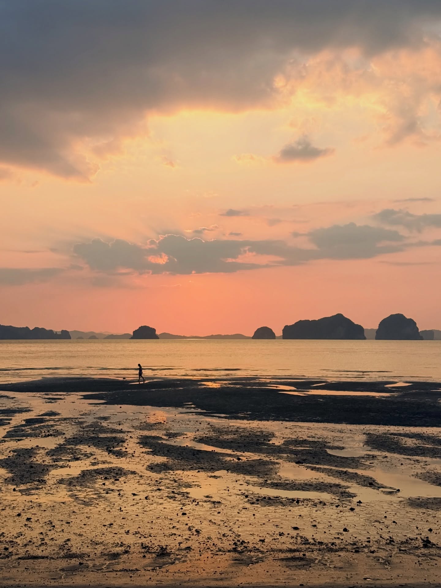 แพร์ - พิชชาภา พันธุมจินดา