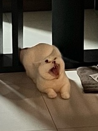 เอก - สุดเขต จึงเจริญ