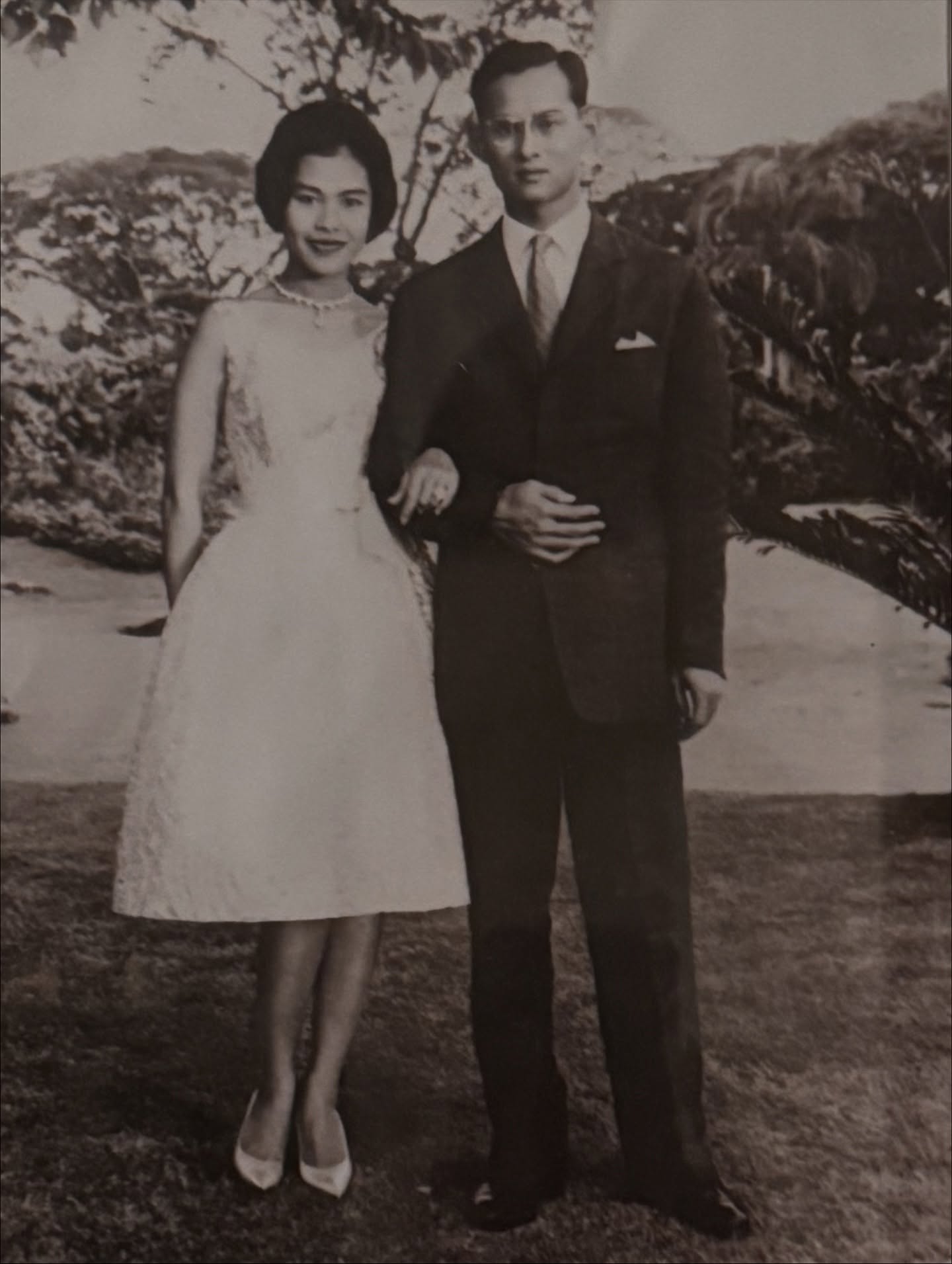 ทาทา ยัง