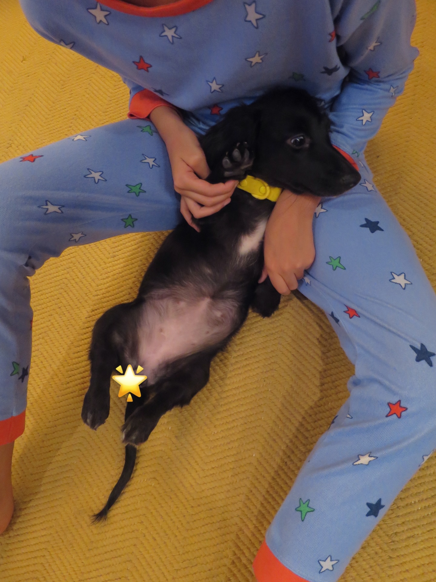 ทาทา ยัง