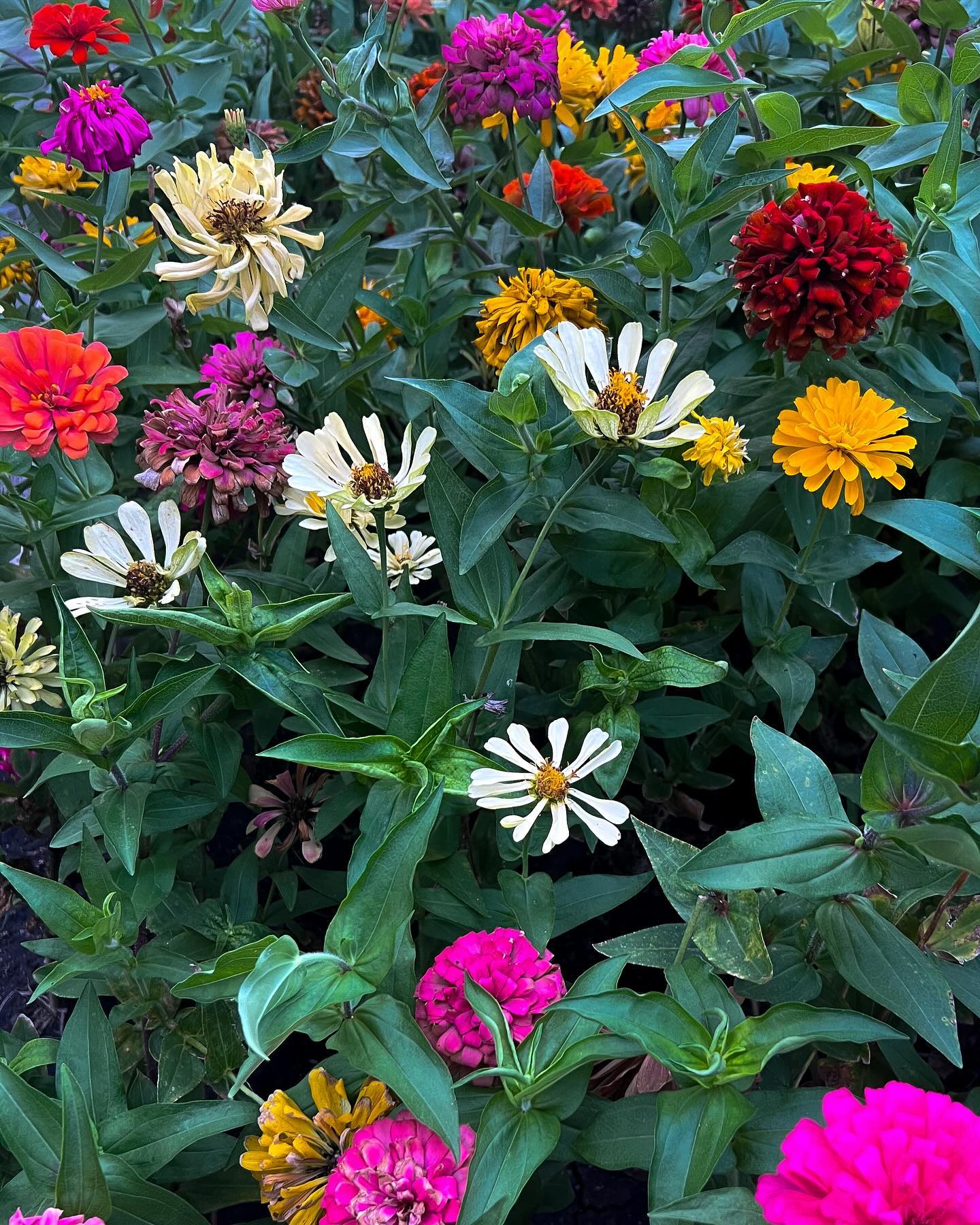 เมฆ - จิรกิตติ์ ถาวรวงศ์