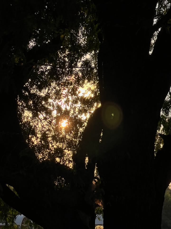 เมฆ - จิรกิตติ์ ถาวรวงศ์