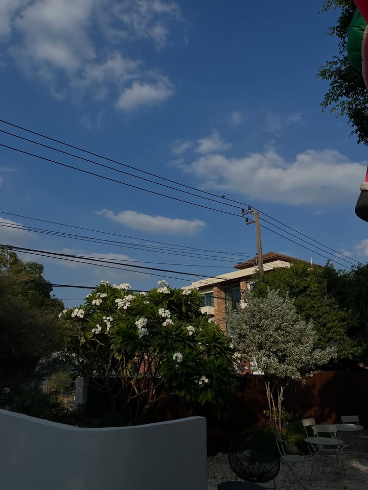 เมฆ - จิรกิตติ์ ถาวรวงศ์