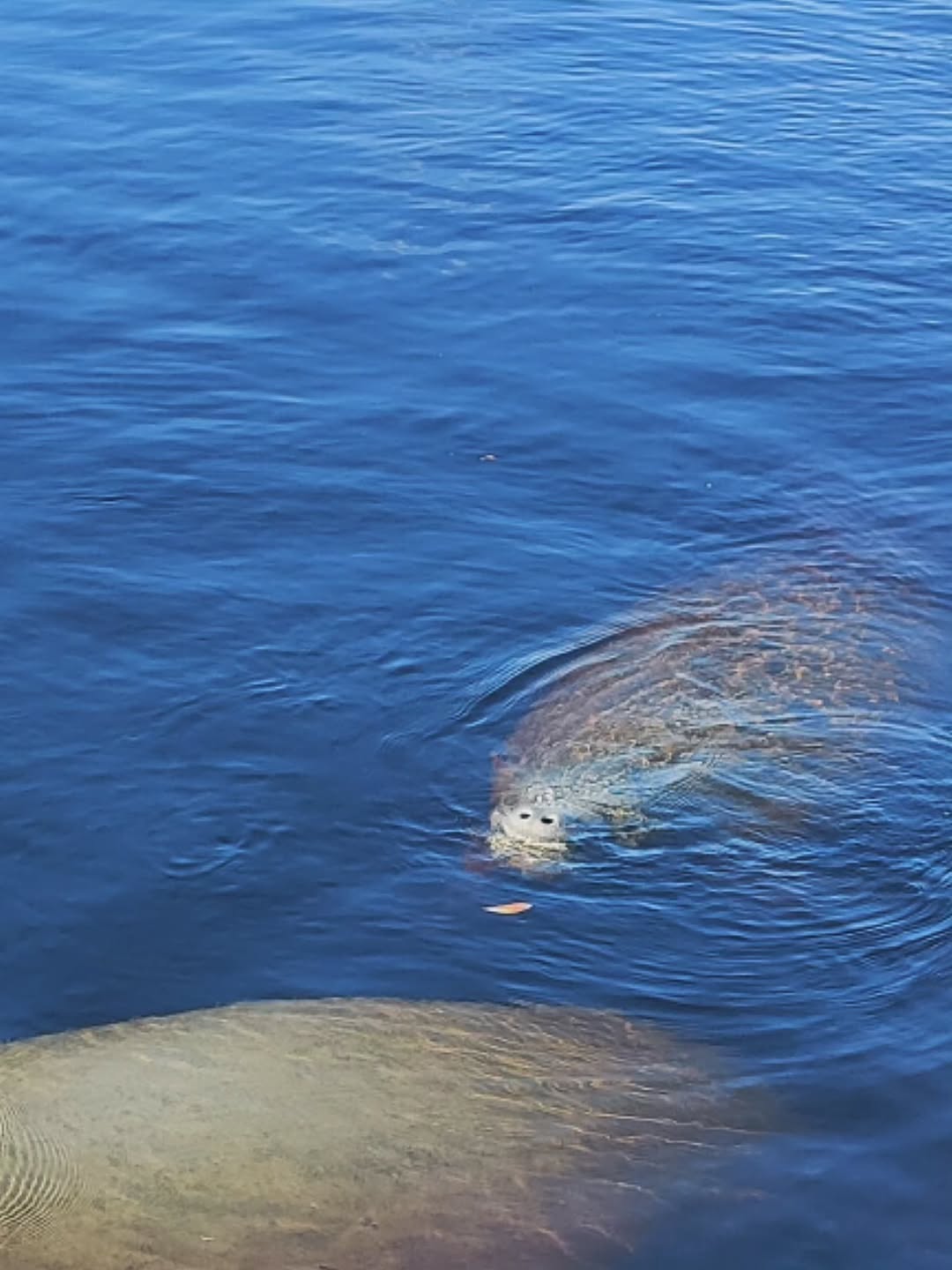 บูม - กิตตน์ก้อง ขำกฤษ