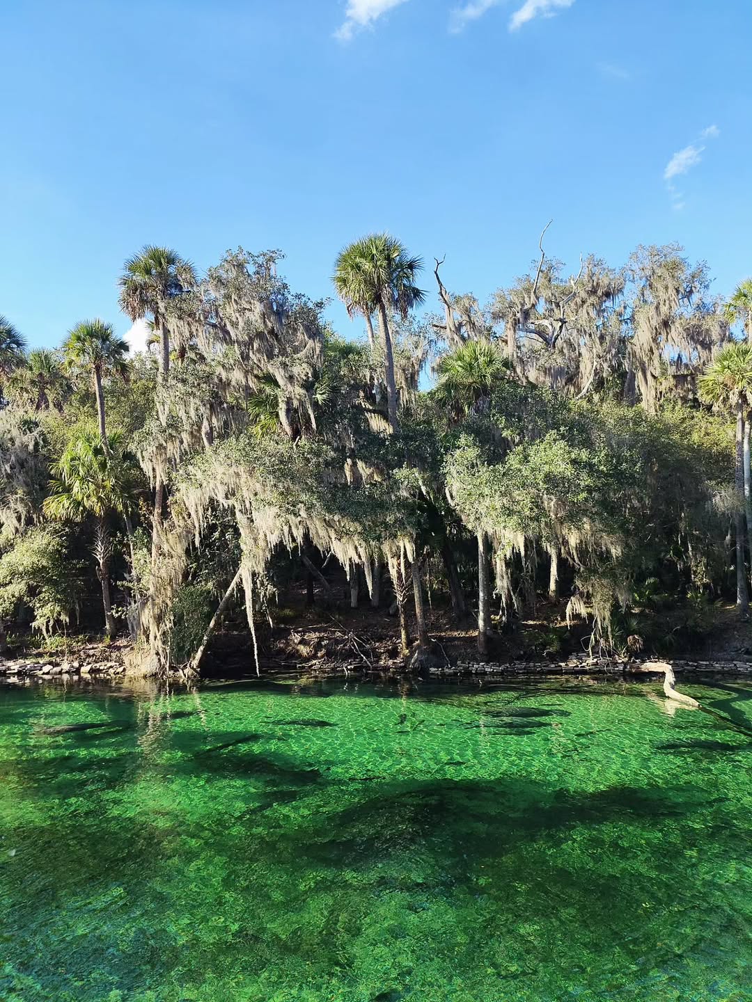 บูม - กิตตน์ก้อง ขำกฤษ