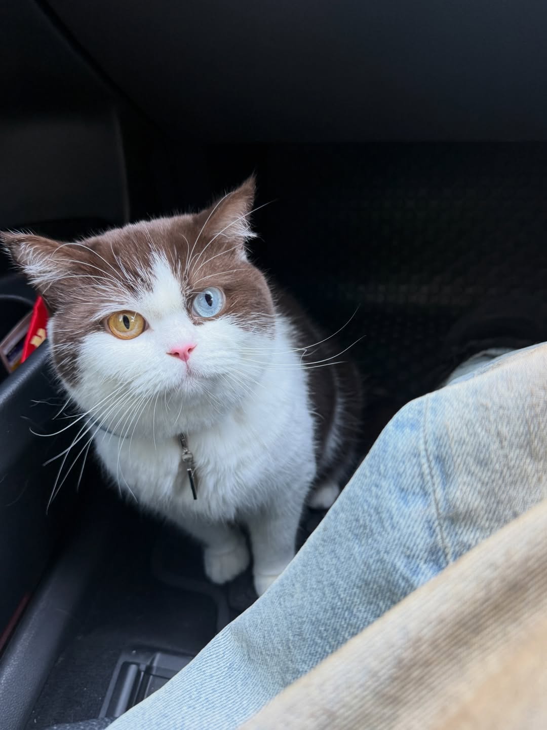 เปรม - วรุศ ชวลิตรุจิวงษ์