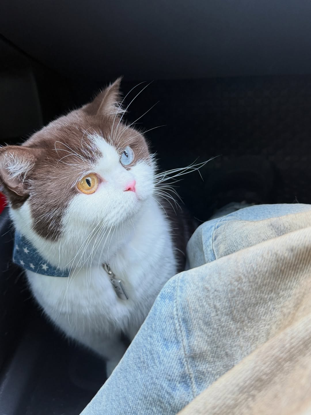 เปรม - วรุศ ชวลิตรุจิวงษ์