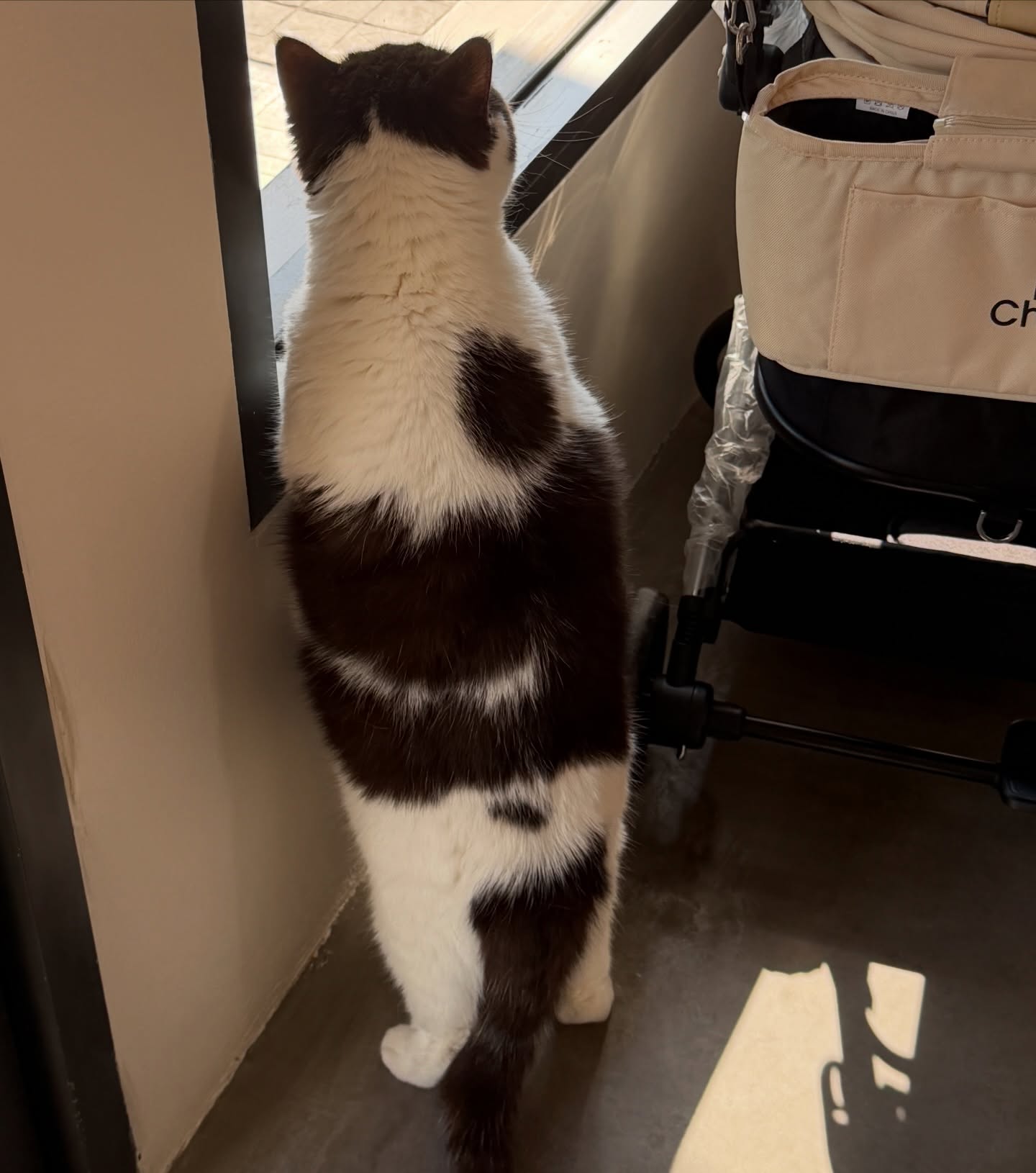 เปรม - วรุศ ชวลิตรุจิวงษ์