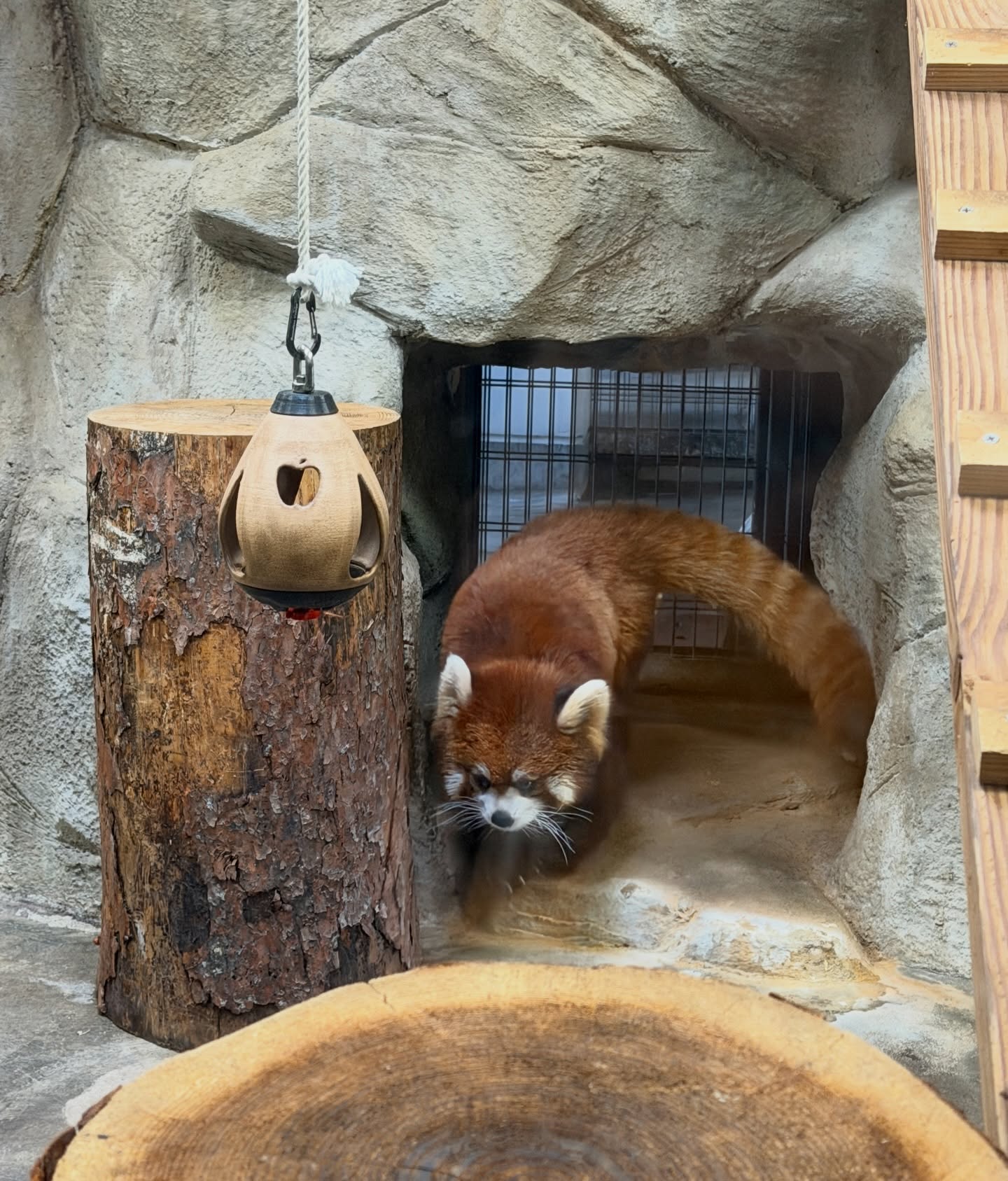 เปรม - วรุศ ชวลิตรุจิวงษ์