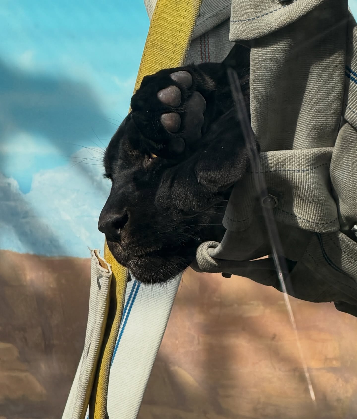 เปรม - วรุศ ชวลิตรุจิวงษ์