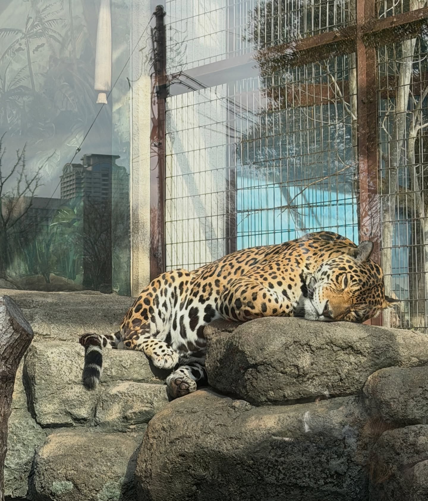 เปรม - วรุศ ชวลิตรุจิวงษ์