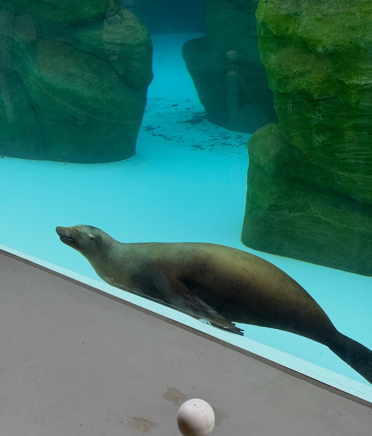 เปรม - วรุศ ชวลิตรุจิวงษ์