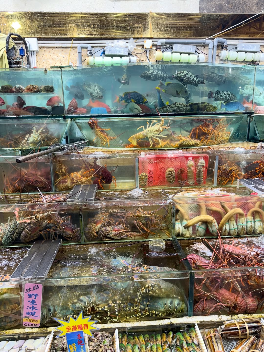 เปรม - วรุศ ชวลิตรุจิวงษ์