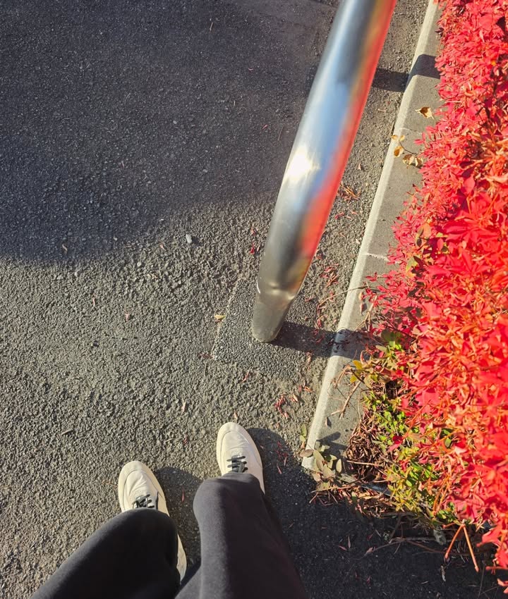 แม็กกี้ - รชต พิเชฐโชติ