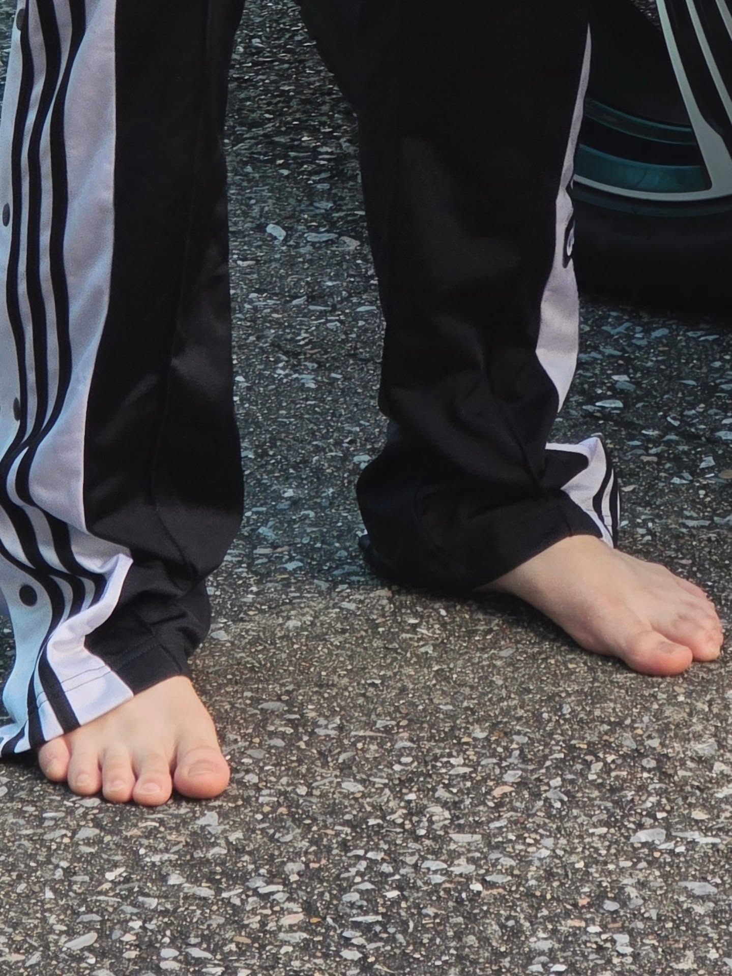 แม็กกี้ - รชต พิเชฐโชติ