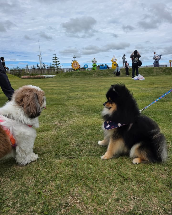 ภณ - ณวัสน์ ภู่พันธัชสีห์