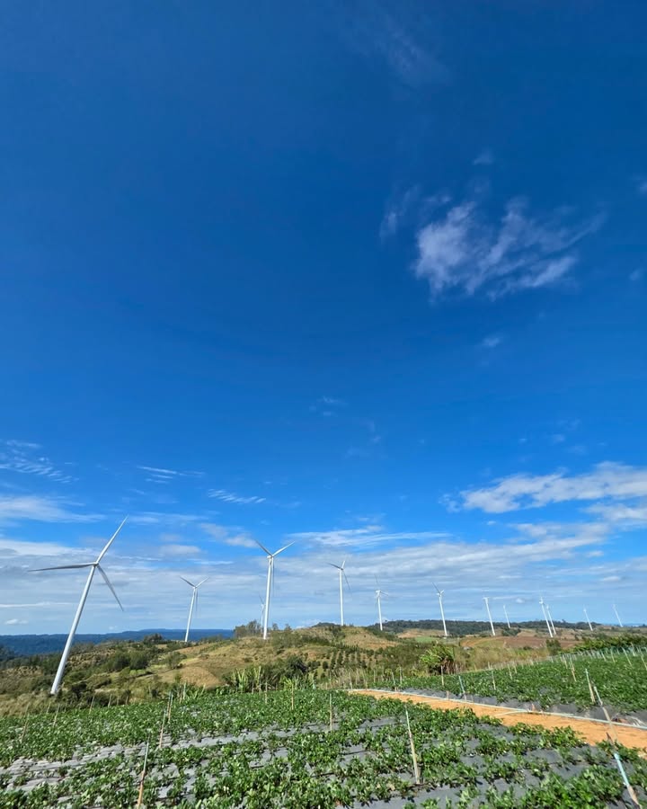 ภณ - ณวัสน์ ภู่พันธัชสีห์