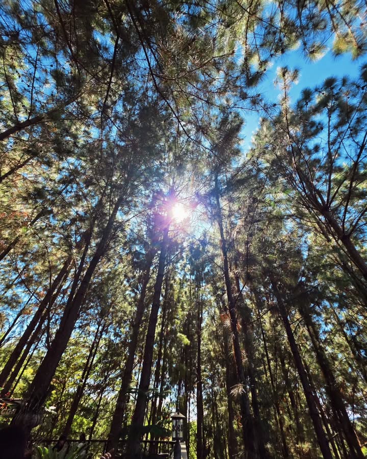 ภณ - ณวัสน์ ภู่พันธัชสีห์