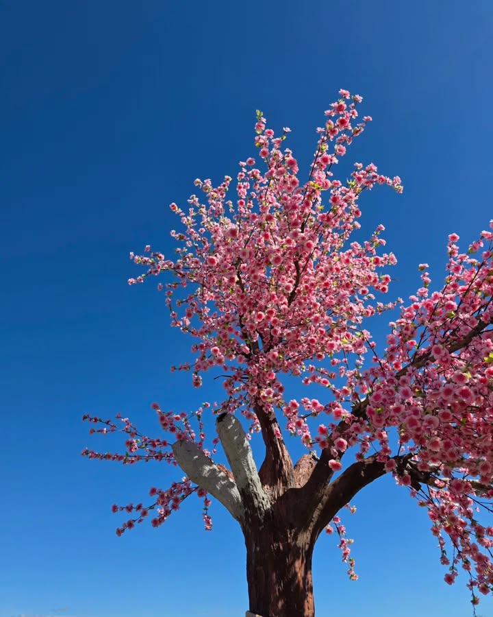 ภณ - ณวัสน์ ภู่พันธัชสีห์