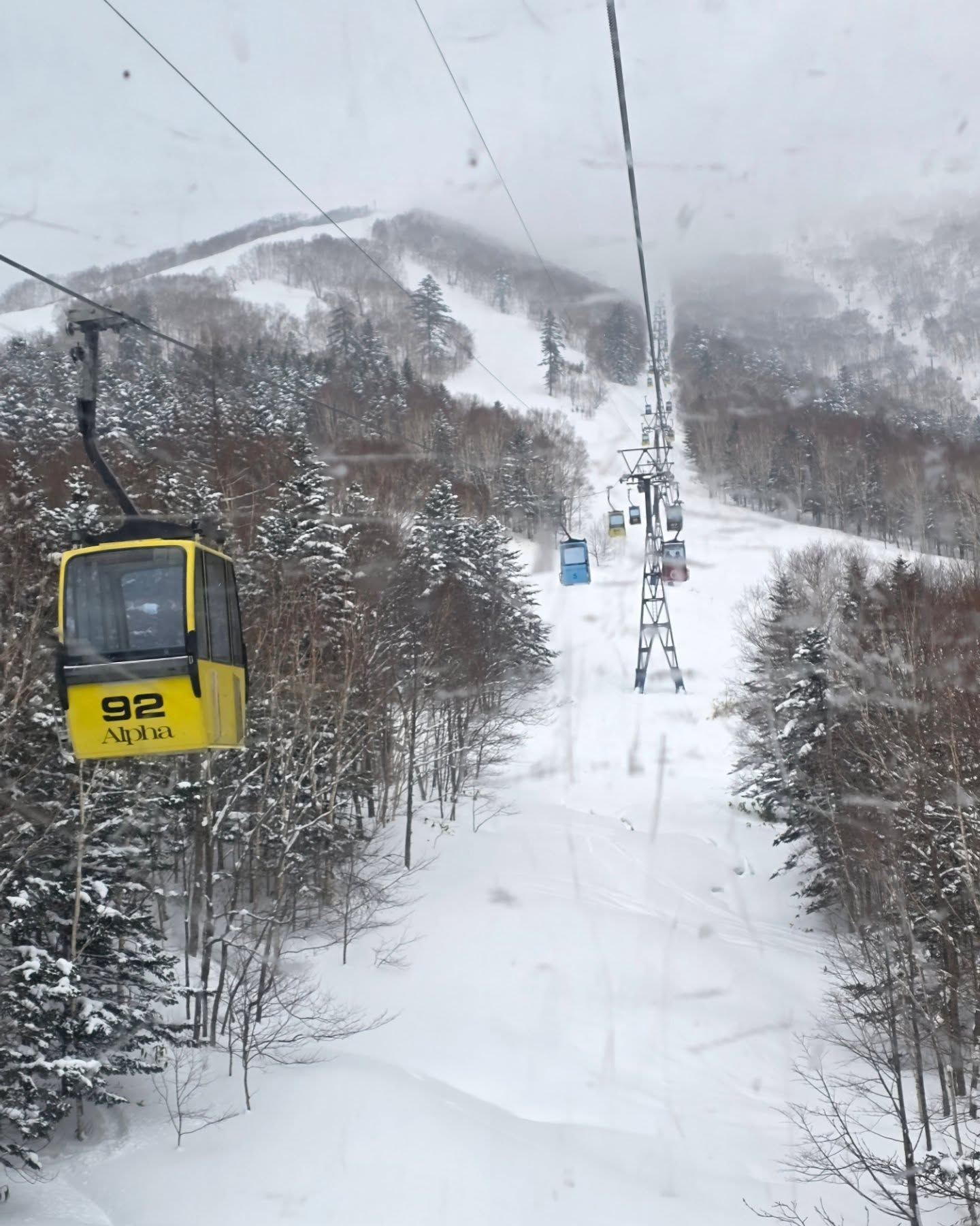 ภณ - ณวัสน์ ภู่พันธัชสีห์