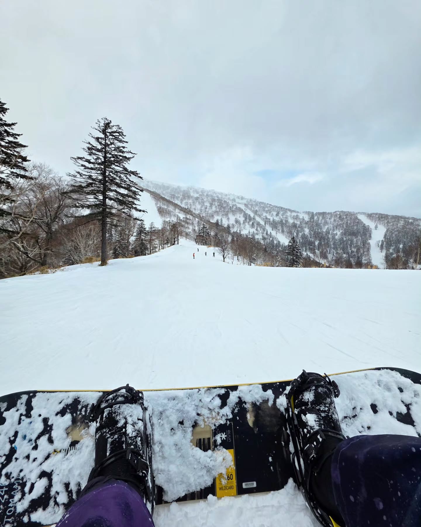 ภณ - ณวัสน์ ภู่พันธัชสีห์