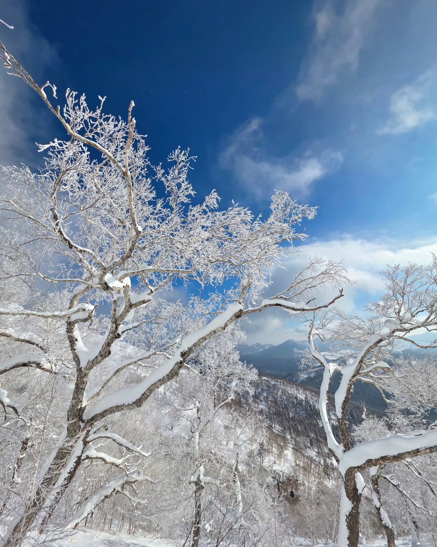 ภณ - ณวัสน์ ภู่พันธัชสีห์