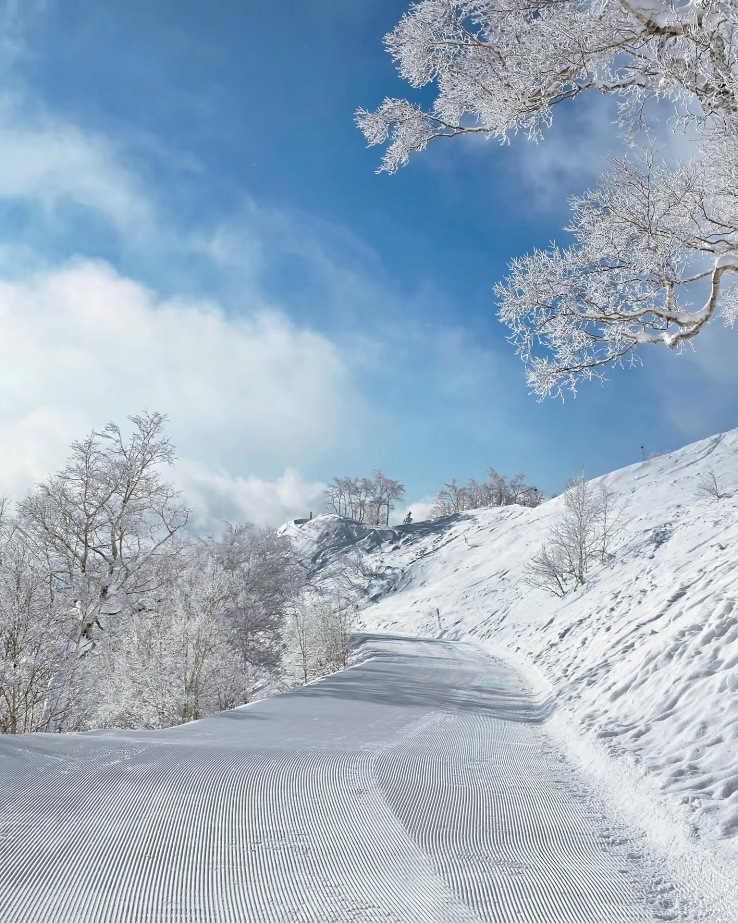 ภณ - ณวัสน์ ภู่พันธัชสีห์