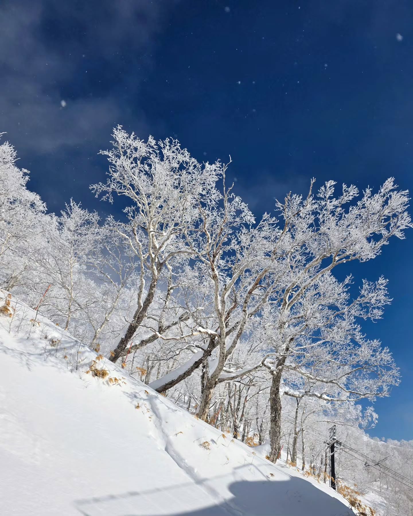 ภณ - ณวัสน์ ภู่พันธัชสีห์