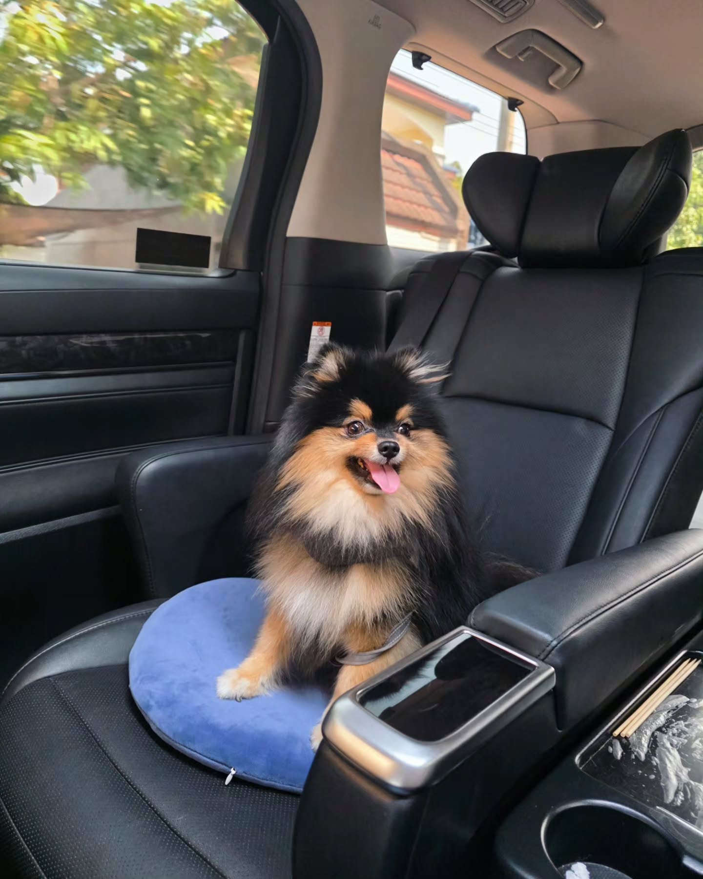 ภณ - ณวัสน์ ภู่พันธัชสีห์