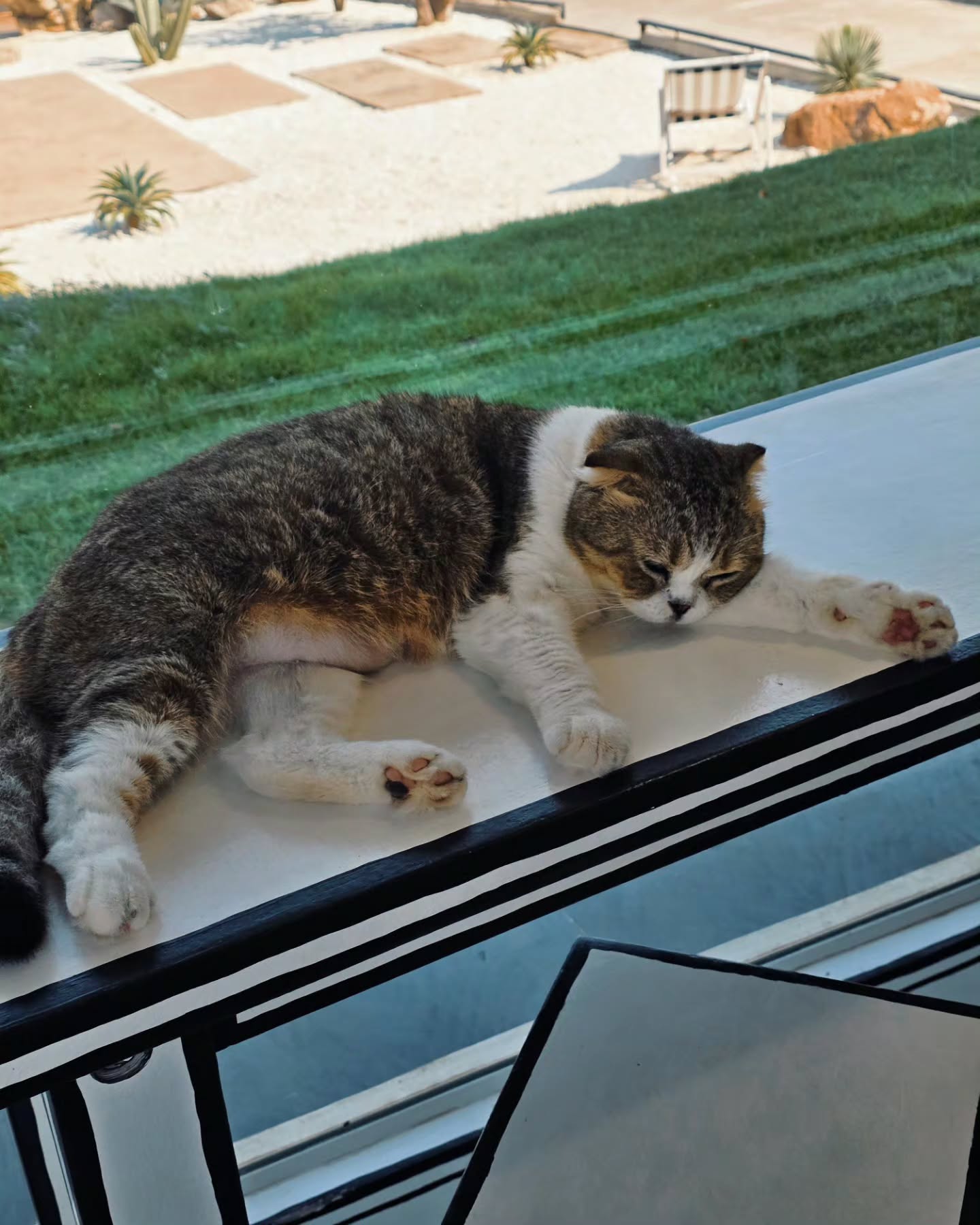 ภณ - ณวัสน์ ภู่พันธัชสีห์