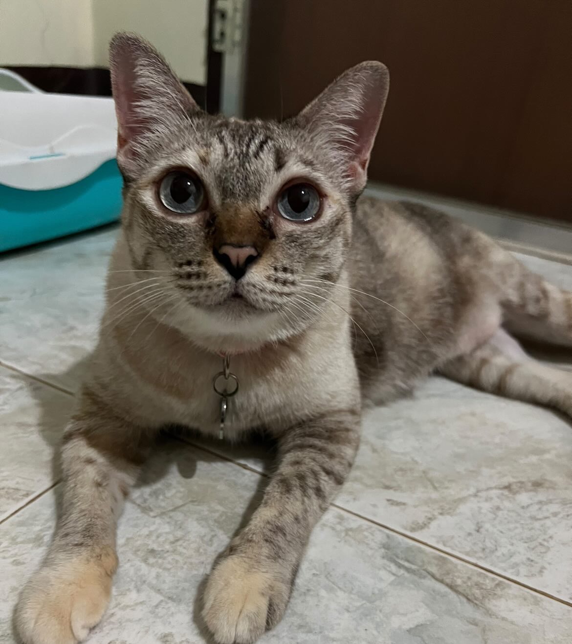 ดิว - นิธิพงษ์ พลจันทร์