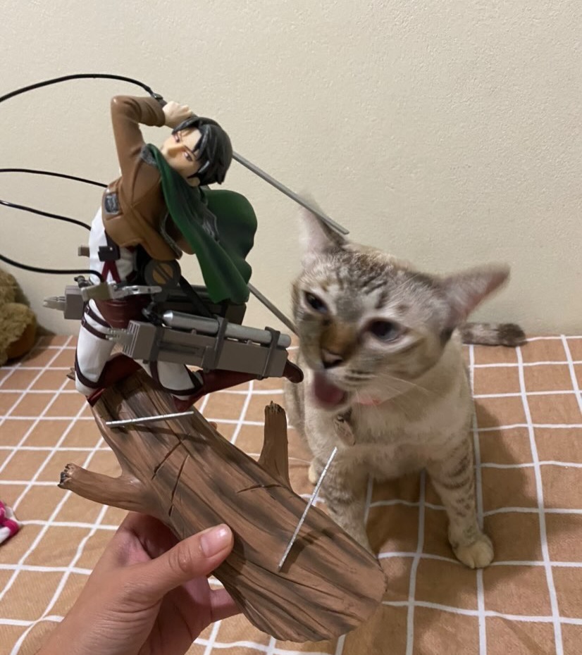 ดิว - นิธิพงษ์ พลจันทร์