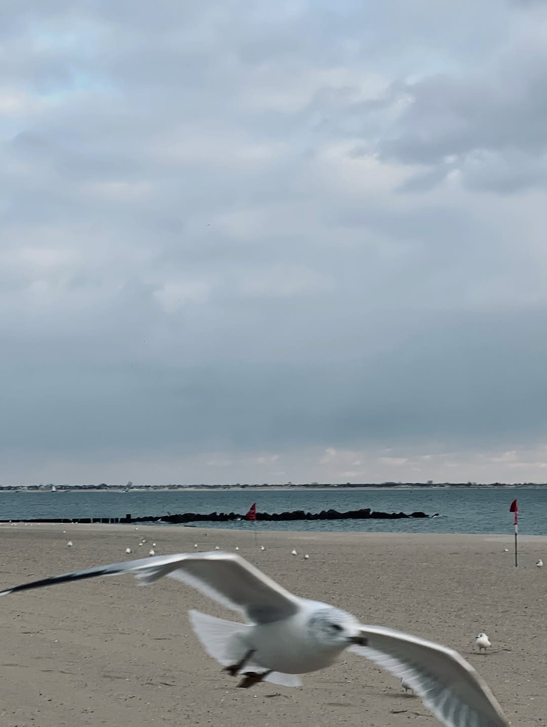 ดิว - นิธิพงษ์ พลจันทร์