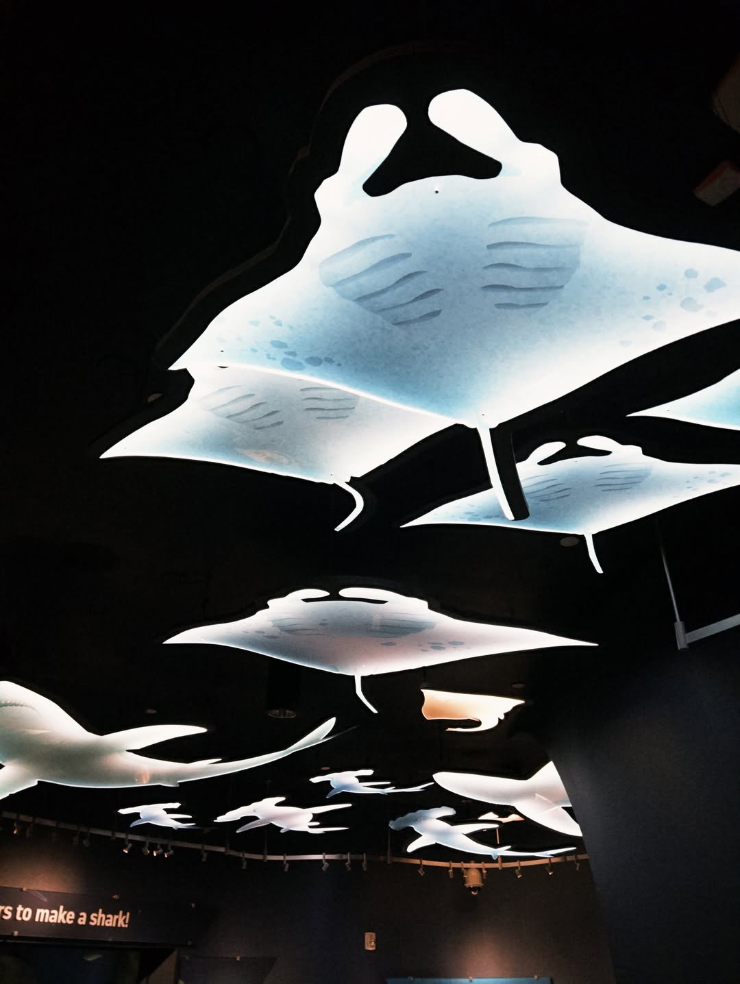 ดิว - นิธิพงษ์ พลจันทร์